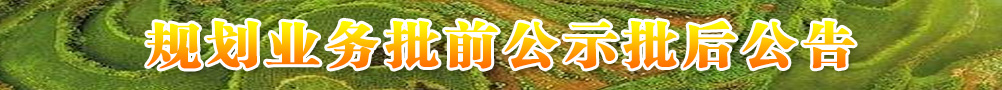 規(guī)劃業(yè)務(wù)批前公示批后公告