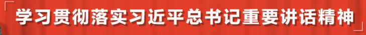 學(xué)習(xí)貫徹落實(shí)習(xí)近平總書記重要講話精神
