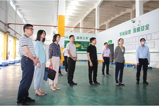 廣東省供銷社黨組書記理事會主任葉梅芬赴中山市供銷社調(diào)研指導(dǎo)