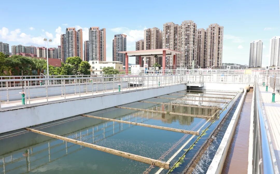 市政協(xié)到三鄉(xiāng)鎮(zhèn)開展水污染治理專項(xiàng)民主監(jiān)督活動(dòng)